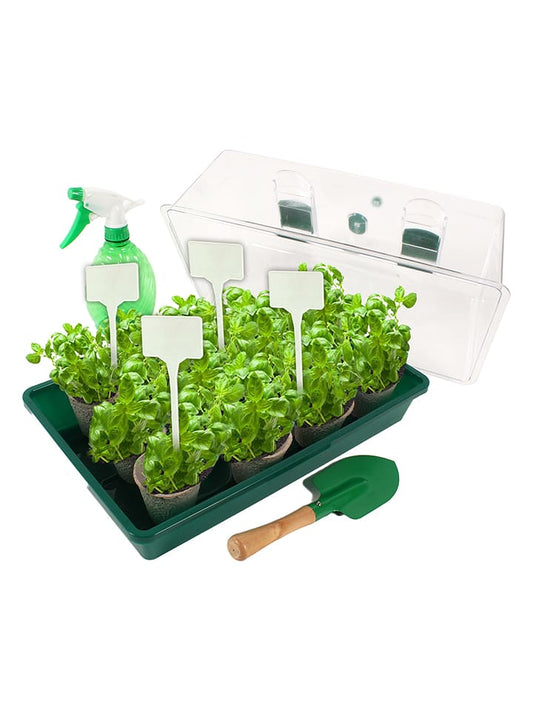 Planete Plante Greenhouse with accessories from 3 years Kids