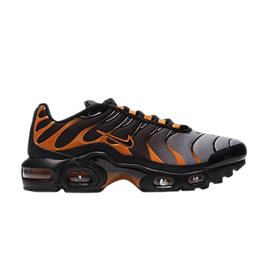 Air Max Plus GS 'Black Team Orange' (DJ4619-001) Kids