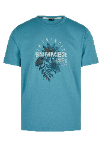 Hechter Paris T-Shirt Print Opal (75016-131929-605) Men