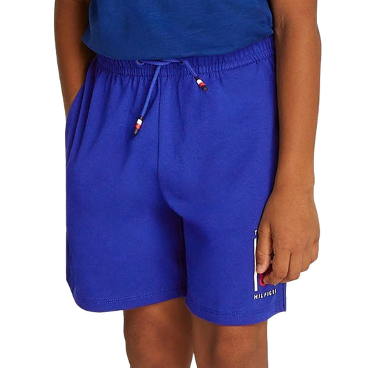 Tommy Hilfiger Graphic Sweatshort Junior (KB0KB09477-D03) Kids