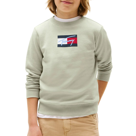 Tommy Hilfiger Script Flag Sweater Junior (KB0KB09741-M1C) Kids