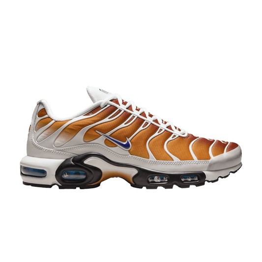 Nike Air Max Plus One Block Down Chutney (FZ3308-700) Unisex