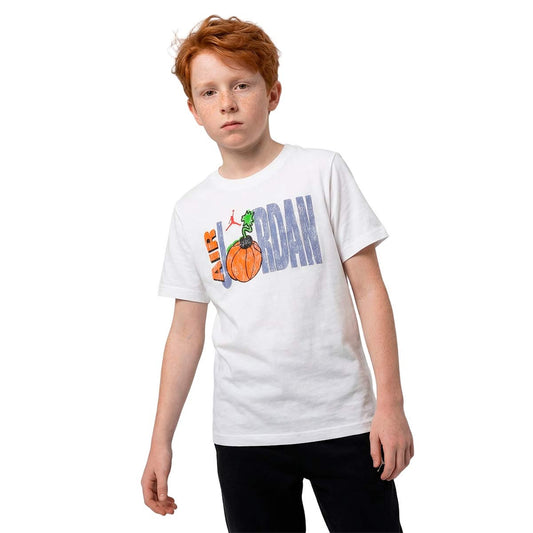 Jordan Brand Secret White (95F629-001) Kids