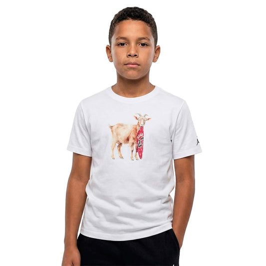 Jordan Flight Goat Crew White (95F314-001) Kids