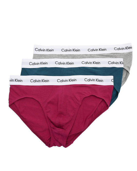 Calvin Klein Mens Brief 0000U2661GMXE Multicolor