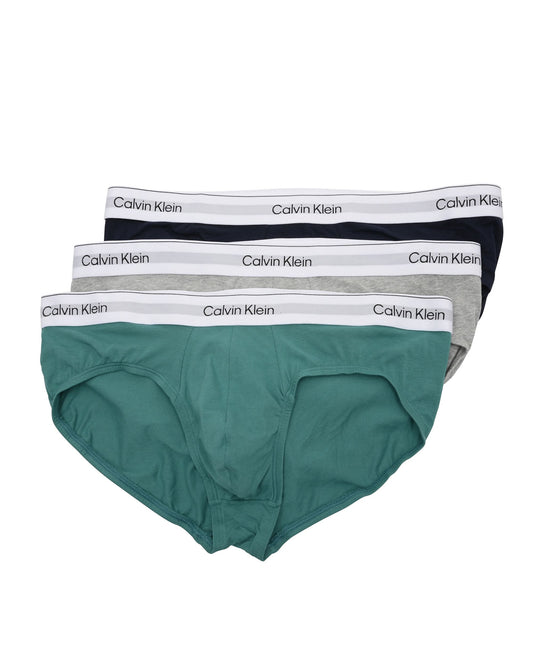 Calvin Klein Mens Brief LV00NB4388VR1 Multicolor