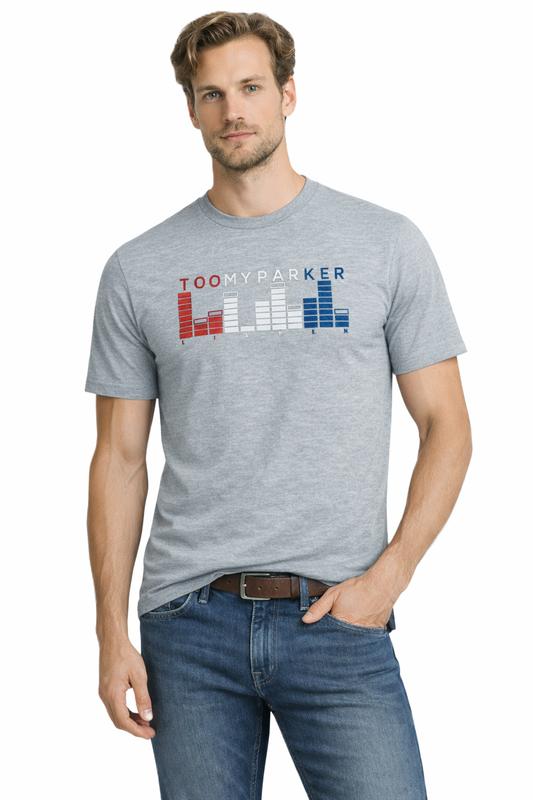 JUMPER T-SHIRT T-shirt Men's Grey (9160) Men