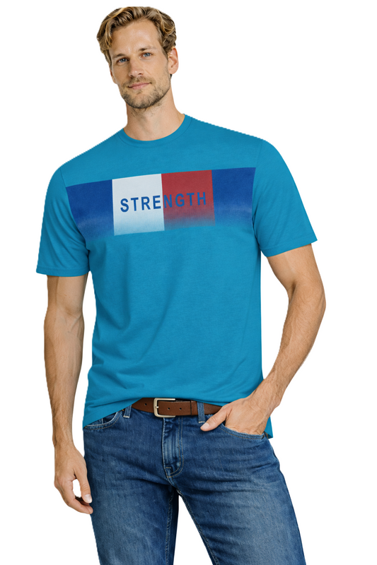 JUMPER T SHIRT T Shirt 3020 Blue (9142) Men