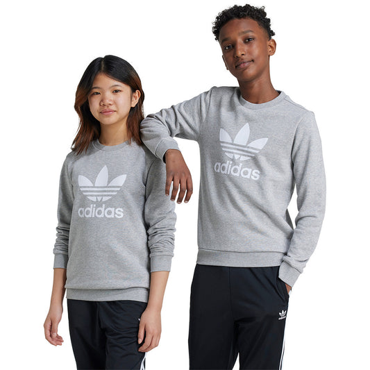 adidas Trefoil Crew medium grey heather (IY7436) Kids